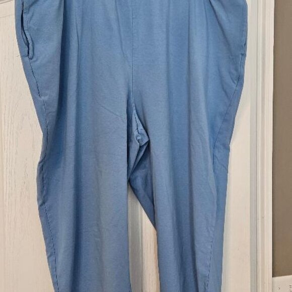 Blue Capris - Size 2X Petite - Picture 1 of 1